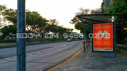 Blk 406A Fernvale Road (Sengkang), HDB 4 Rooms #101150592